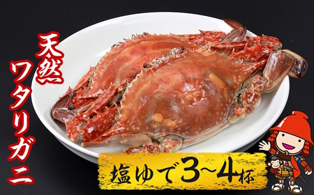 期間 数量限定 大分県中津産 天然ワタリガニ 塩ゆで 3 4杯 800g 900g 蟹 カニ 大分県中津市 ふるさと納税サイト ふるなび