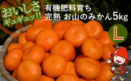 【先行予約】【数量限定】大久保農場の有機肥料育ち完熟  お山のみかん 5kg(L)+3個 (傷み補償分) | フルーツ 果物 くだもの 蜜柑 ミカン みかん 柑橘 柑橘類 温州みかん 産地直送 国産 大分県 中津市