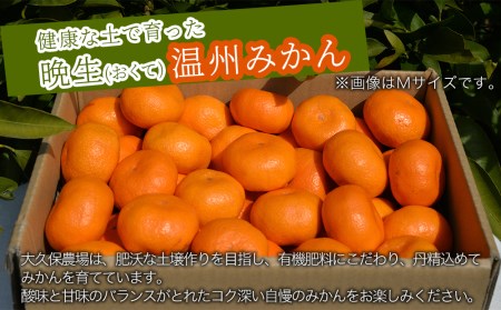 【先行予約】【数量限定】大久保農場の有機肥料育ち完熟  お山のみかん 5kg(L)+3個 (傷み補償分) | フルーツ 果物 くだもの 蜜柑 ミカン みかん 柑橘 柑橘類 温州みかん 産地直送 国産 大分県 中津市
