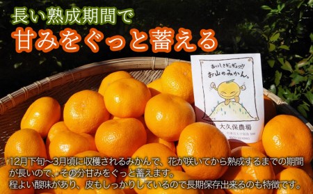 【先行予約】【数量限定】大久保農場の有機肥料育ち完熟  お山のみかん 5kg(L)+3個 (傷み補償分) | フルーツ 果物 くだもの 蜜柑 ミカン みかん 柑橘 柑橘類 温州みかん 産地直送 国産 大分県 中津市