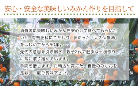【先行予約】【数量限定】大久保農場の有機肥料育ち完熟  お山のみかん 5kg(L)+3個 (傷み補償分) | フルーツ 果物 くだもの 蜜柑 ミカン みかん 柑橘 柑橘類 温州みかん 産地直送 国産 大分県 中津市