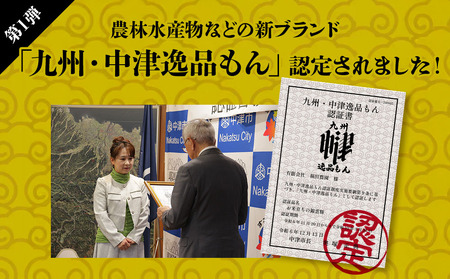錦雲豚 とんかつ5枚セット ロース肉 1枚130g×5枚 岩塩付き | お肉 肉 おにく にく 豚 豚肉 ロース トンカツ 豚かつ とんかつ ロースかつ 衣付き 冷凍食品 おかず お惣菜 惣菜 お弁当 弁当 国産 大分県 中津市