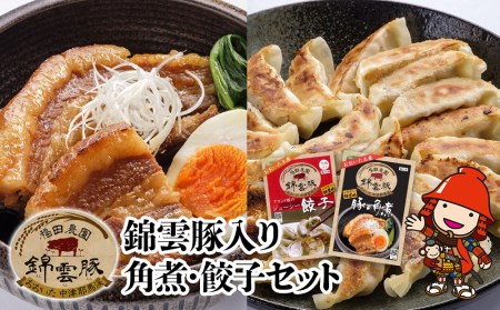 錦雲豚 角煮250g×2 餃子15個入り×2(たれ付き) 冷凍食品 肉餃子 惣菜 冷凍おかず 冷凍餃子 豚の角煮 大分県産 九州産 中津市 国産 