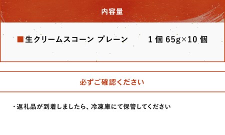 発酵バター香る濃厚リッチな生クリーム スコーン (プレーン) 10個セット 手作り お菓子 ギフト 焼き菓子 スイーツ 大分県産 九州産 中津市 国産 熨斗対応可