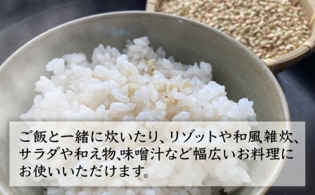 深耶馬溪の1300年のこだわり自家栽培の極上 生そば米 (そばの実) 500g×2個 セット