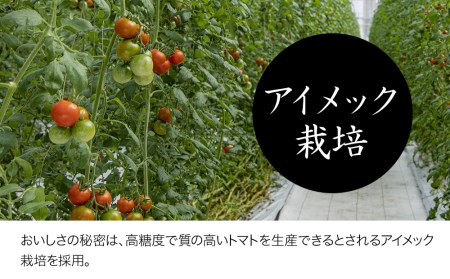 【期間限定】フルーツトマト 玄 1kg×1箱 ミニトマト ぷちとまと プチトマト 大分県中津産 九州野菜