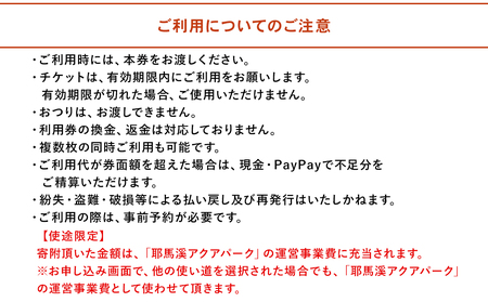 【寄附使途限定】耶馬溪水上スポーツ施設「耶馬溪アクアパーク」利用券10,000円分 体験チケット 水上スキー ウェイクボード ウェイクサーフィン 水上スポーツ 体験ツアー 大分県産 九州産 中津市 国産