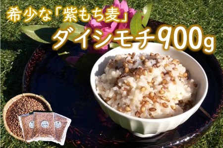 山々と源流の山国町「nakano麦園」の希少な『紫もち麦』ダイシモチ300g×3袋