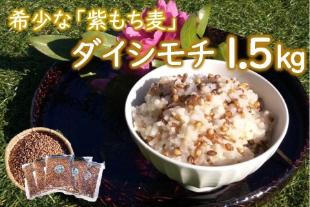 山々と源流の山国町「nakano麦園」の希少な『紫もち麦』ダイシモチ300g×5袋