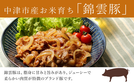 ボリューム満点！錦雲豚ブランド肉 1.5㎏ 便利な小分け 豚肉 すき焼き ステーキ 焼肉 焼き肉 しゃぶしゃぶ 大分県産 中津市 