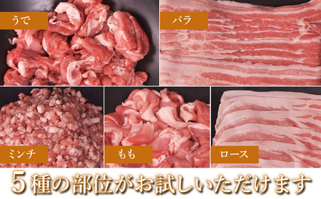 ボリューム満点！錦雲豚ブランド肉 1.5㎏ 便利な小分け 豚肉 すき焼き ステーキ 焼肉 焼き肉 しゃぶしゃぶ 大分県産 中津市 