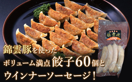 錦雲豚餃子とソーセージのセット レシピ付 餃子60個 ハム ソーセージ120g 人気 詰め合わせセット