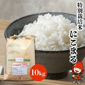 特別栽培米 にこまる 10kg | お米 米 おこめ こめ 精米 白米 ご飯 ごはん 10キロ 大分県産 九州産 大分県 中津市