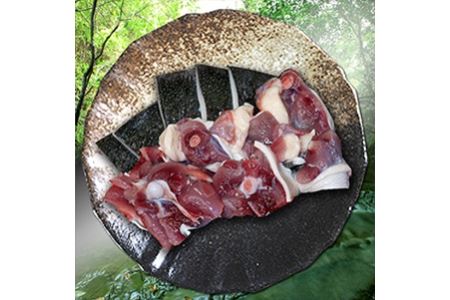 耶馬溪すっぽん レシピ付き すっぽん生肉300g | すっぽん料理 スッポン スッポン鍋 大分県産 九州産 中津市 耶馬渓すっぽん 国産 大分県 中津市