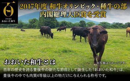 おおいた和牛 もも生ハム 50g×4P 牛肉 黒毛和牛 ブランド牛 モモ肉 もも肉 ミートクレスト 中津市 大分県産 九州産 国産 冷凍