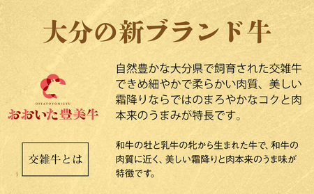 おおいた豊美牛 バラ切り落とし 600g 交雑牛 牛肉 ブランド牛 バラ 焼肉 中津市 大分県産 九州産 国産 冷凍