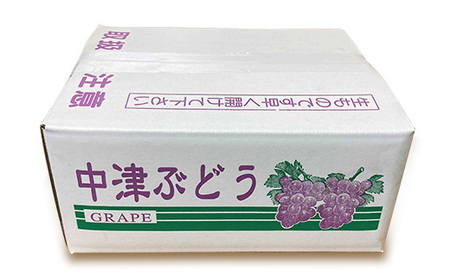 【数量限定】中津市産ぶどう シャインマスカット1.5kg おきだいふぁーむ ぶどう園