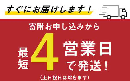 Ｃ－０４ 【最短4営業日発送】 ヱビスビール 500ml 缶  24本入り セット ビール