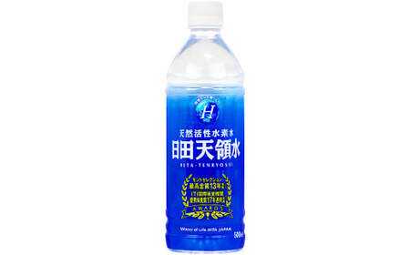 Ｂ－８９ 日田天領水 500ml 24本 12リットル 1ケース 水 お水 天領水 ペットボトル ミネラル