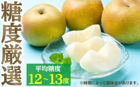 【先行予約・26年8月以降発送】日田梨 幸水 5kg 梨[ARBB001]