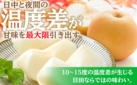 【先行予約・26年8月以降発送】日田梨 幸水 5kg 梨[ARBB001]