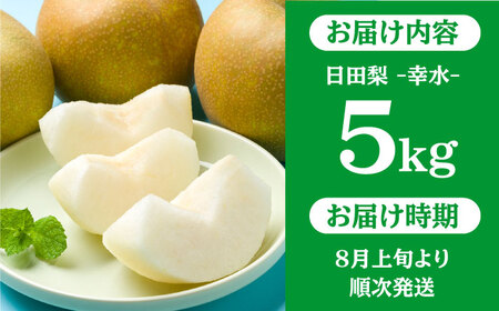 【先行予約・26年8月以降発送】日田梨 幸水 5kg 梨[ARBB001]