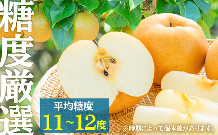 【先行予約・26年8月以降発送】日田梨 豊水 5kg  梨 [ARBB002]