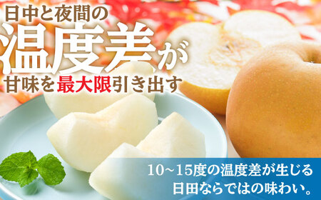 【先行予約・26年8月以降発送】日田梨 豊水 5kg  梨 [ARBB002]