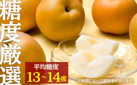 【先行予約・26年9月以降発送】日田梨 あきづき 3kg 梨[ARBB003]