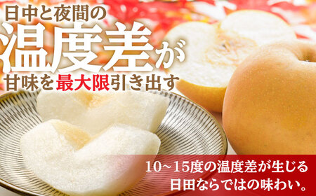 【先行予約・26年9月以降発送】日田梨 あきづき 3kg 梨[ARBB003]