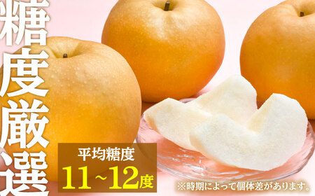 【先行予約・26年9月以降発送】日田梨 新高 5kg 梨[ARBB004]