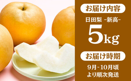 【先行予約・26年9月以降発送】日田梨 新高 5kg 梨[ARBB004]