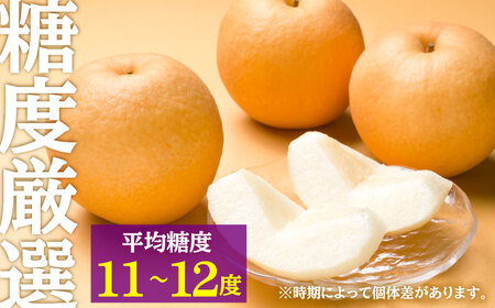 【先行予約・26年10月以降発送】日田梨 新興 5kg 梨 [ARBB005]