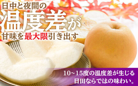 【先行予約・26年10月以降発送】日田梨 新興 5kg 梨 [ARBB005]