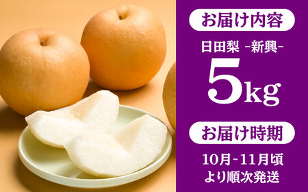 【先行予約・26年10月以降発送】日田梨 新興 5kg 梨 [ARBB005]
