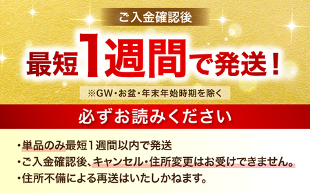 サッポロビール GOLD STAR 500ml×24缶 発泡酒 ゴールドスター 日田市 サッポロビール[ARDC120]