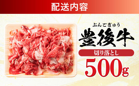 おおいた豊後牛 牛肉切り落とし 500g 豊後牛 牛肉 切り落とし 大分 冷凍 [AREI002]