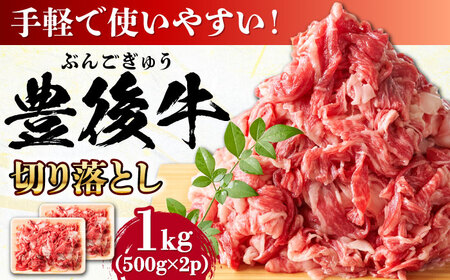 【小分けで便利！】おおいた豊後牛 牛肉 切り落とし 1kg (500g×2) 豊後牛 牛肉 切り落とし 大分 冷凍 [AREI003]