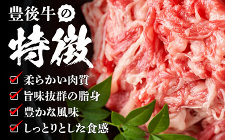 【小分けで便利！】おおいた豊後牛 牛肉 切り落とし 1kg (500g×2) 豊後牛 牛肉 切り落とし 大分 冷凍 [AREI003]
