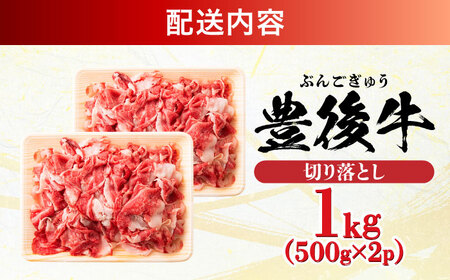 【小分けで便利！】おおいた豊後牛 牛肉 切り落とし 1kg (500g×2) 豊後牛 牛肉 切り落とし 大分 冷凍 [AREI003]