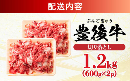 【大容量パック！】 おおいた豊後牛 牛肉 切り落とし 1.2kg (600g×2) 日田市 / 株式会社MEAT PLUS　肉 牛肉 和牛[AREI004]