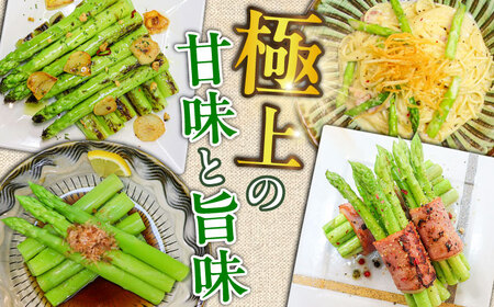 アスパラガス (モーモーアスパラ)  春芽 3L 1.2kg  野菜[ARAI033]