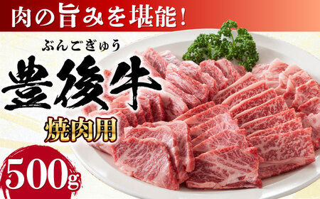 おおいた豊後牛 焼肉用 500g  赤身 モモ 焼肉  冷凍 豊後牛 BBQ[AREI021]