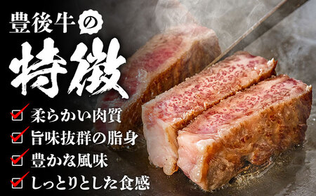 おおいた豊後牛 サーロイン ブロック 1kg  日田市 黒毛和牛 牛肉 サーロイン 豊後牛 サーロインブロック [AREI023]