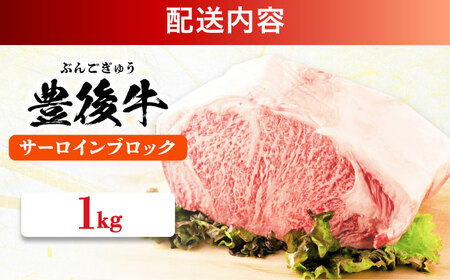 おおいた豊後牛 サーロイン ブロック 1kg  日田市 黒毛和牛 牛肉 サーロイン 豊後牛 サーロインブロック [AREI023]