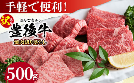 【訳あり】おおいた豊後牛 焼肉 切り落とし 500g 豊後牛 牛肉 焼肉 切り落とし 大分 冷凍 訳あり [AREI032]