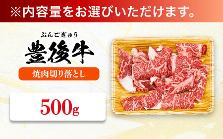 【訳あり】おおいた豊後牛 焼肉 切り落とし 500g 豊後牛 牛肉 焼肉 切り落とし 大分 冷凍 訳あり [AREI032]