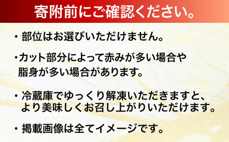 【訳あり】おおいた豊後牛 焼肉 切り落とし 500g 豊後牛 牛肉 焼肉 切り落とし 大分 冷凍 訳あり [AREI032]