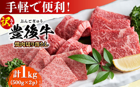 【訳あり】おおいた豊後牛 焼肉 切り落とし 1kg(500g×2P) 豊後牛 牛肉 焼肉 切り落とし 大分 冷凍 訳あり[AREI033]