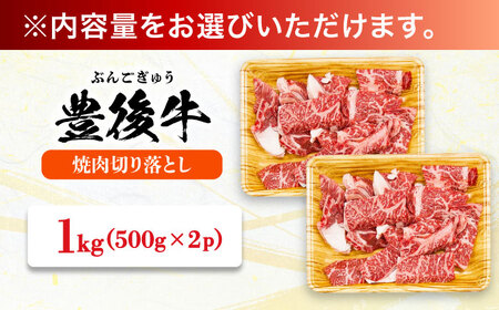 【訳あり】おおいた豊後牛 焼肉 切り落とし 1kg(500g×2P) 豊後牛 牛肉 焼肉 切り落とし 大分 冷凍 訳あり[AREI033]